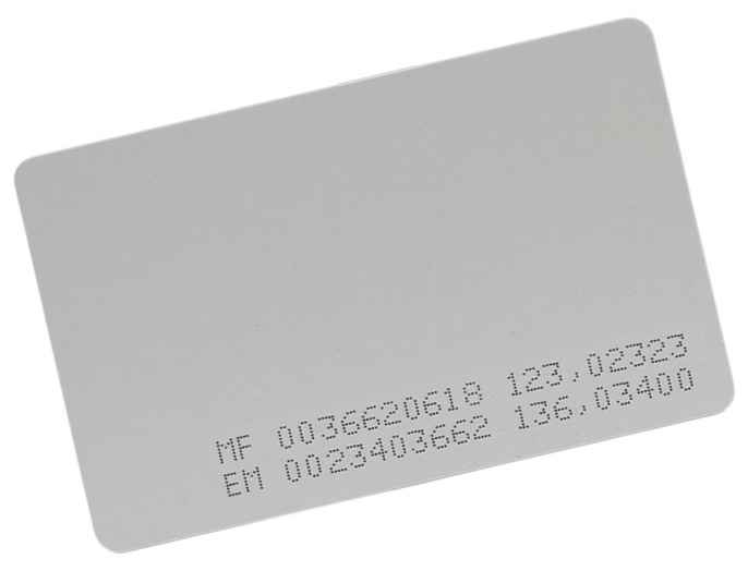 TS-Combi-EMF Бесконтактная карта комбинированная